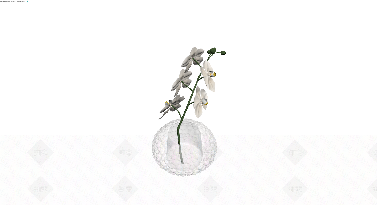 白色纹理花瓶配兰花盆栽3D模型下载【ID:1230728003】