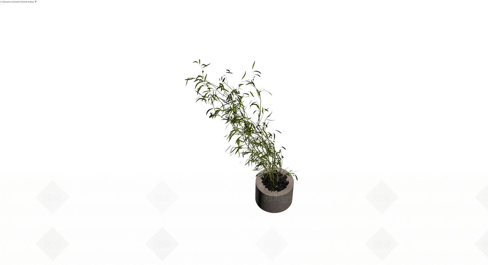 盆栽竹子带盆3D模型下载【ID:1229627624】