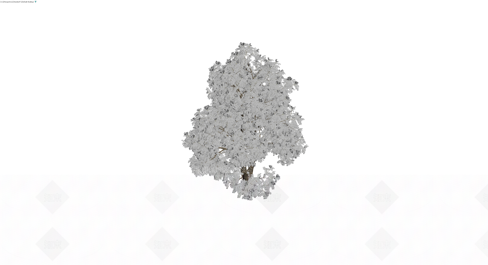 景观乔木模型3D模型下载【ID:1230535150】