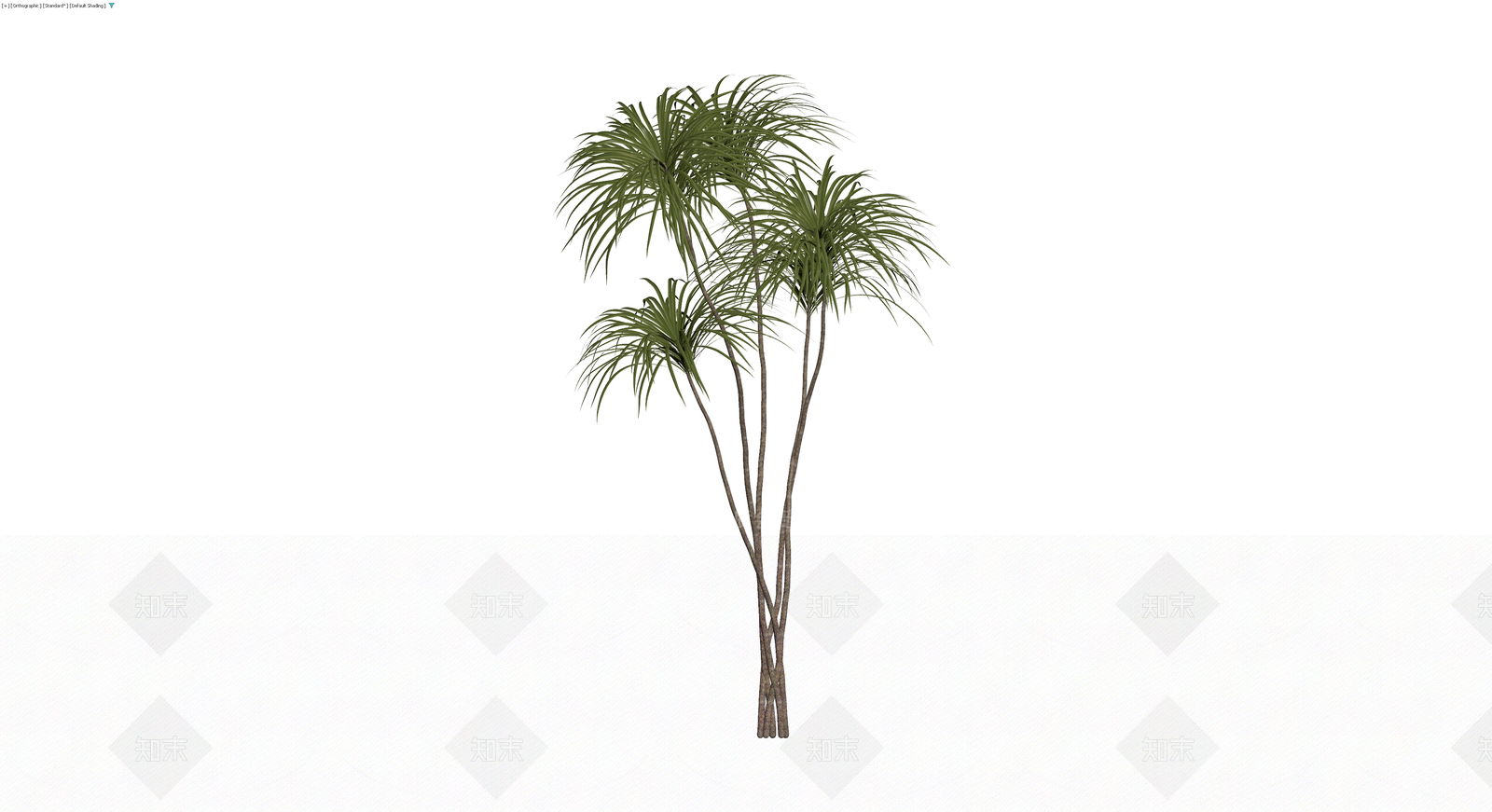 多杆丛生棕榈植物3D模型下载【ID:1230104836】