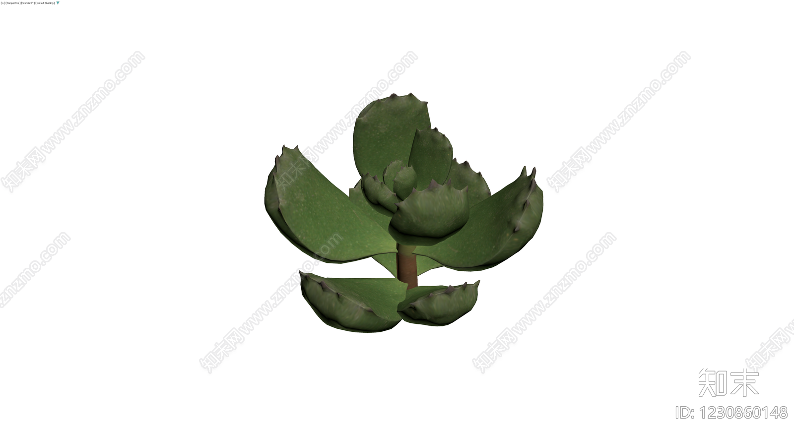 多肉植物盆栽模型3D模型下载【ID:1230860148】