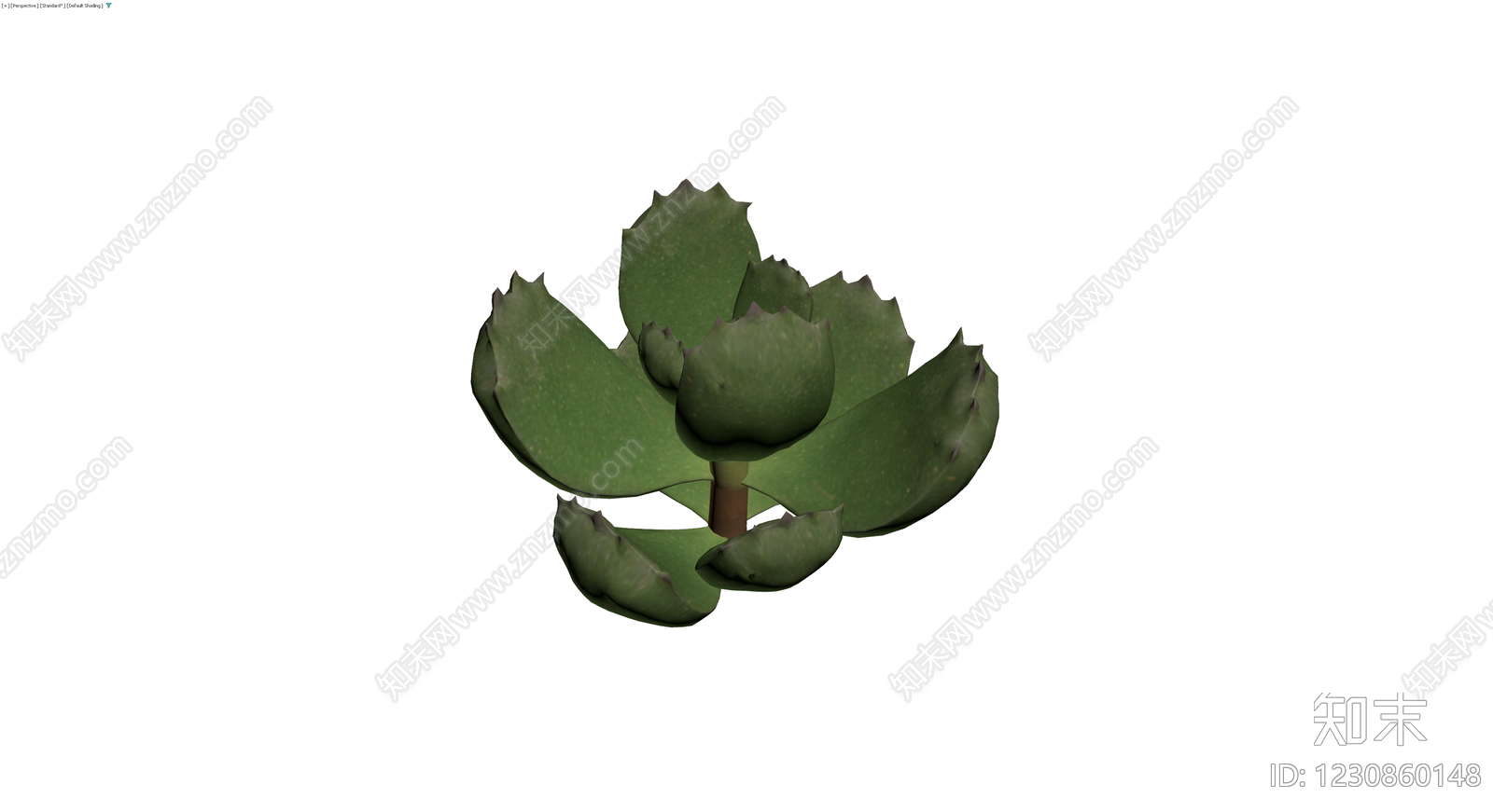 多肉植物盆栽模型3D模型下载【ID:1230860148】