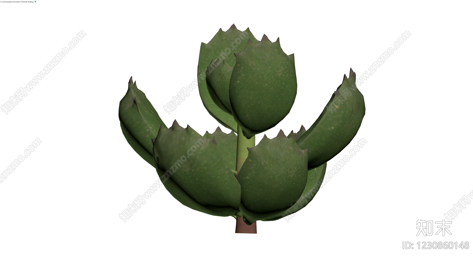 多肉植物盆栽模型3D模型下载【ID:1230860148】