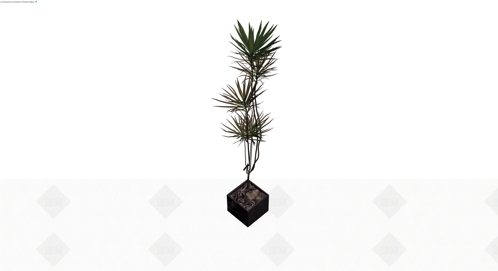 带盆多杆龙血树盆栽3D模型下载【ID:1230187876】