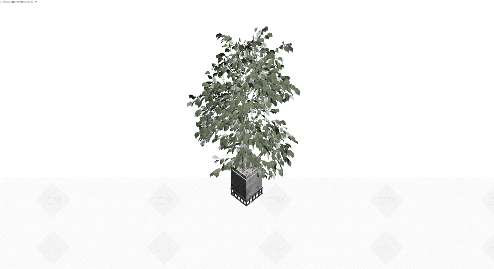 带盆绿植盆栽模型3D模型下载【ID:1230461521】
