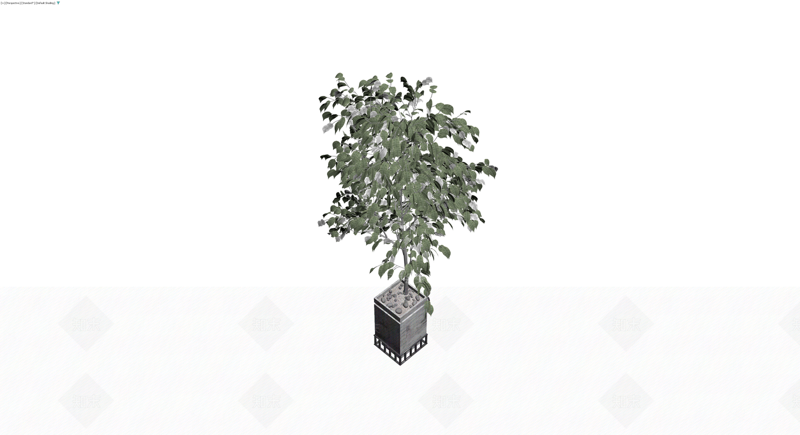带盆绿植盆栽模型3D模型下载【ID:1230461521】