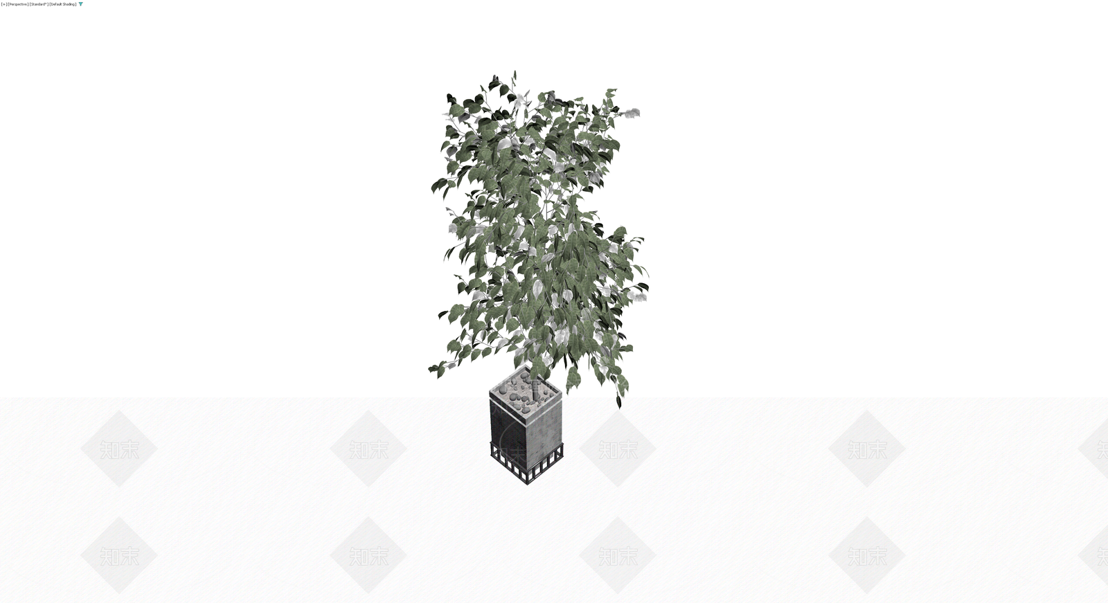 带盆绿植盆栽模型3D模型下载【ID:1230461521】