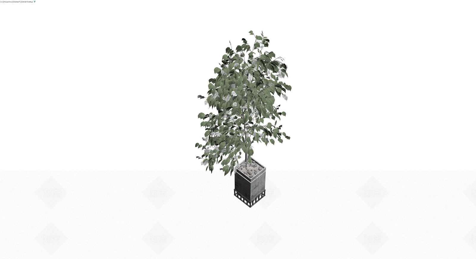 带盆绿植盆栽模型3D模型下载【ID:1230461521】