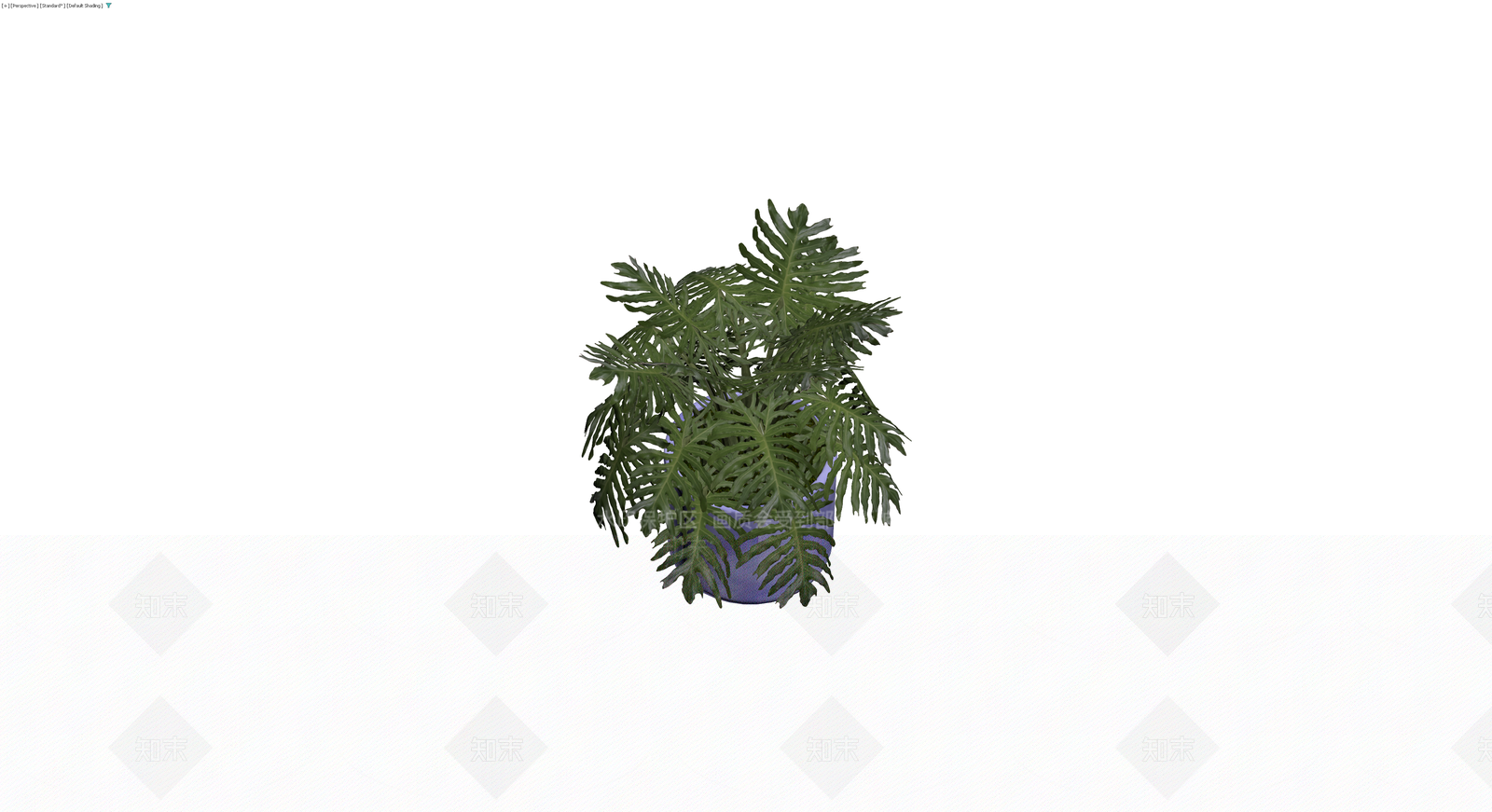 紫色花盆绿植盆栽3D模型下载【ID:1230115637】