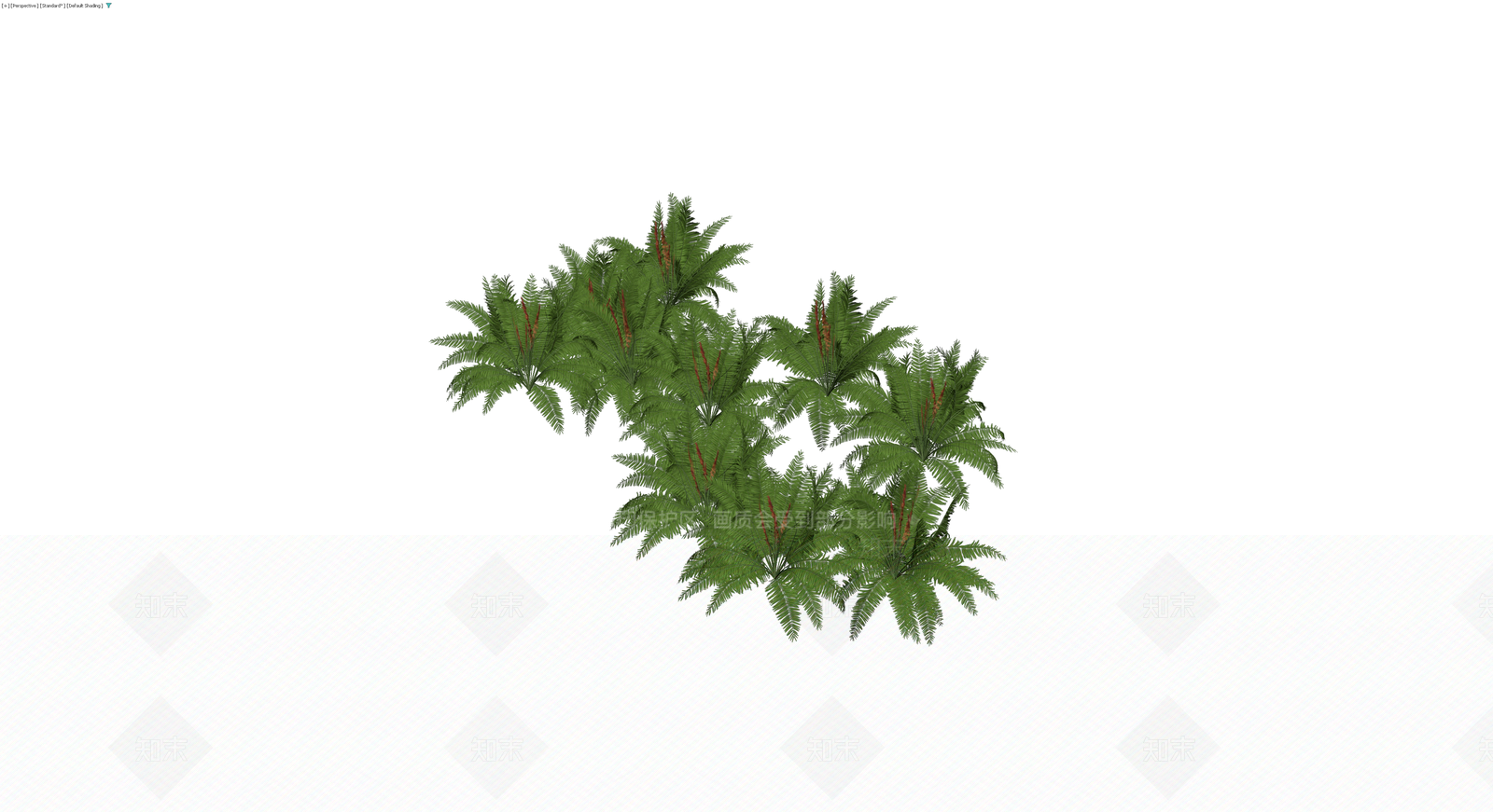 丛生蕨类植物景观组合3D模型下载【ID:1230719008】