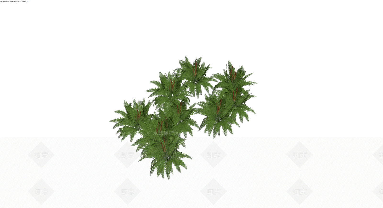 丛生蕨类植物景观组合3D模型下载【ID:1230719008】