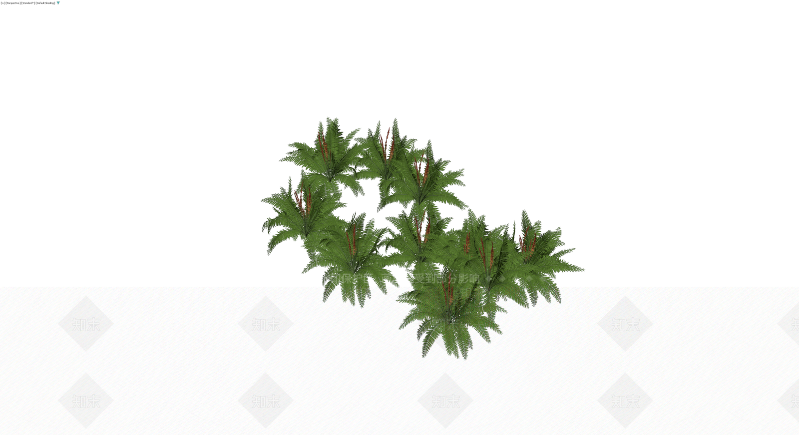 丛生蕨类植物景观组合3D模型下载【ID:1230719008】