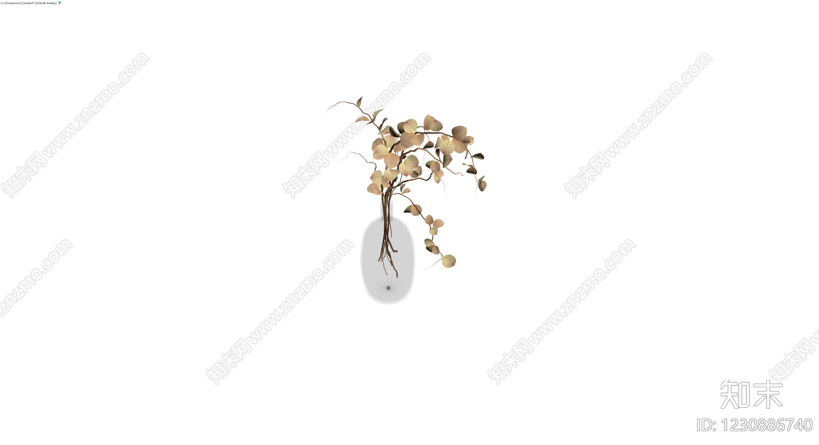透明玻璃瓶插干花3D模型下载【ID:1230886740】