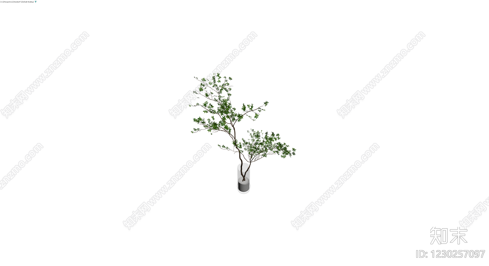 盆栽植物模型3D模型下载【ID:1230257097】