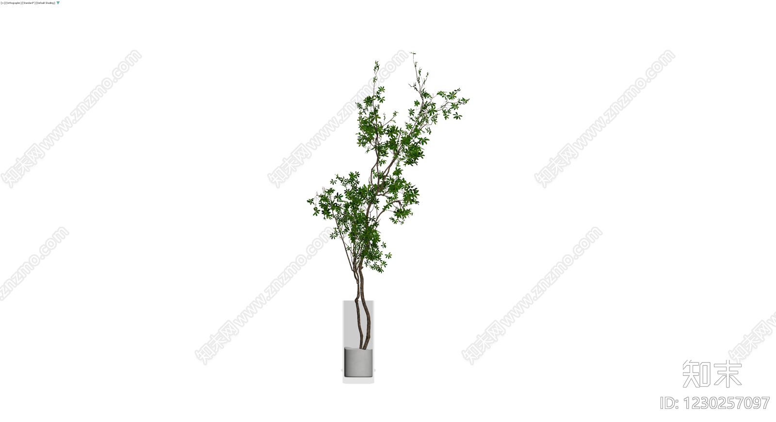 盆栽植物模型3D模型下载【ID:1230257097】