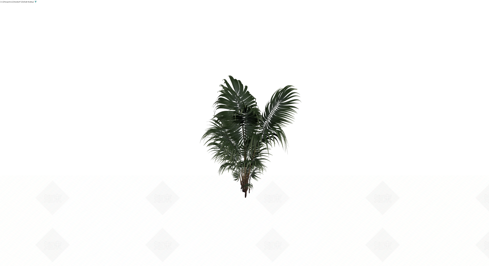 仿真散尾葵植物模型3D模型下载【ID:1230718966】