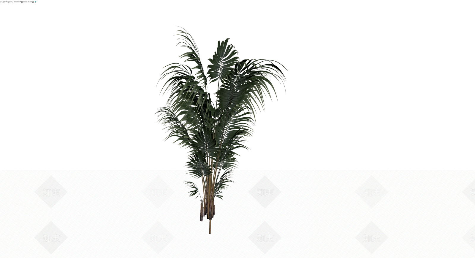 仿真散尾葵植物模型3D模型下载【ID:1230718966】
