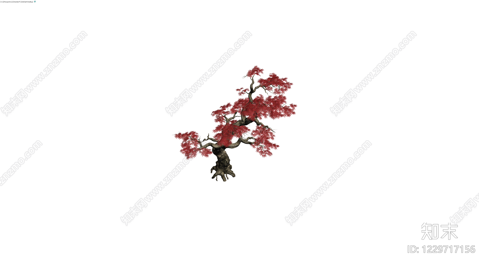 红枫景观乔木模型3D模型下载【ID:1229717156】