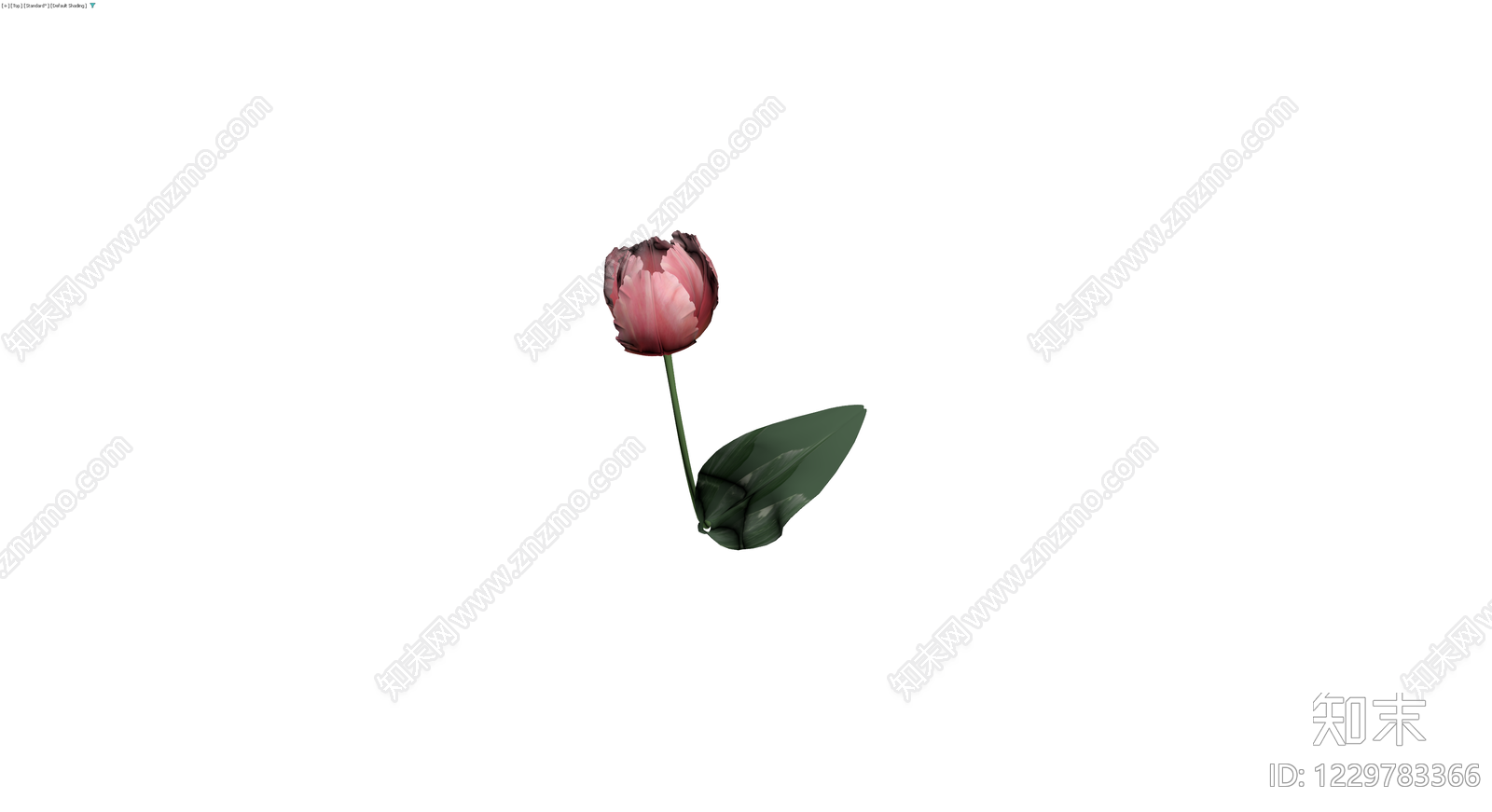 粉色郁金香模型3D模型下载【ID:1229783366】