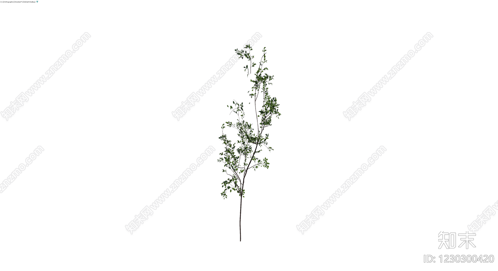 独立绿色灌木植物3D模型下载【ID:1230300420】
