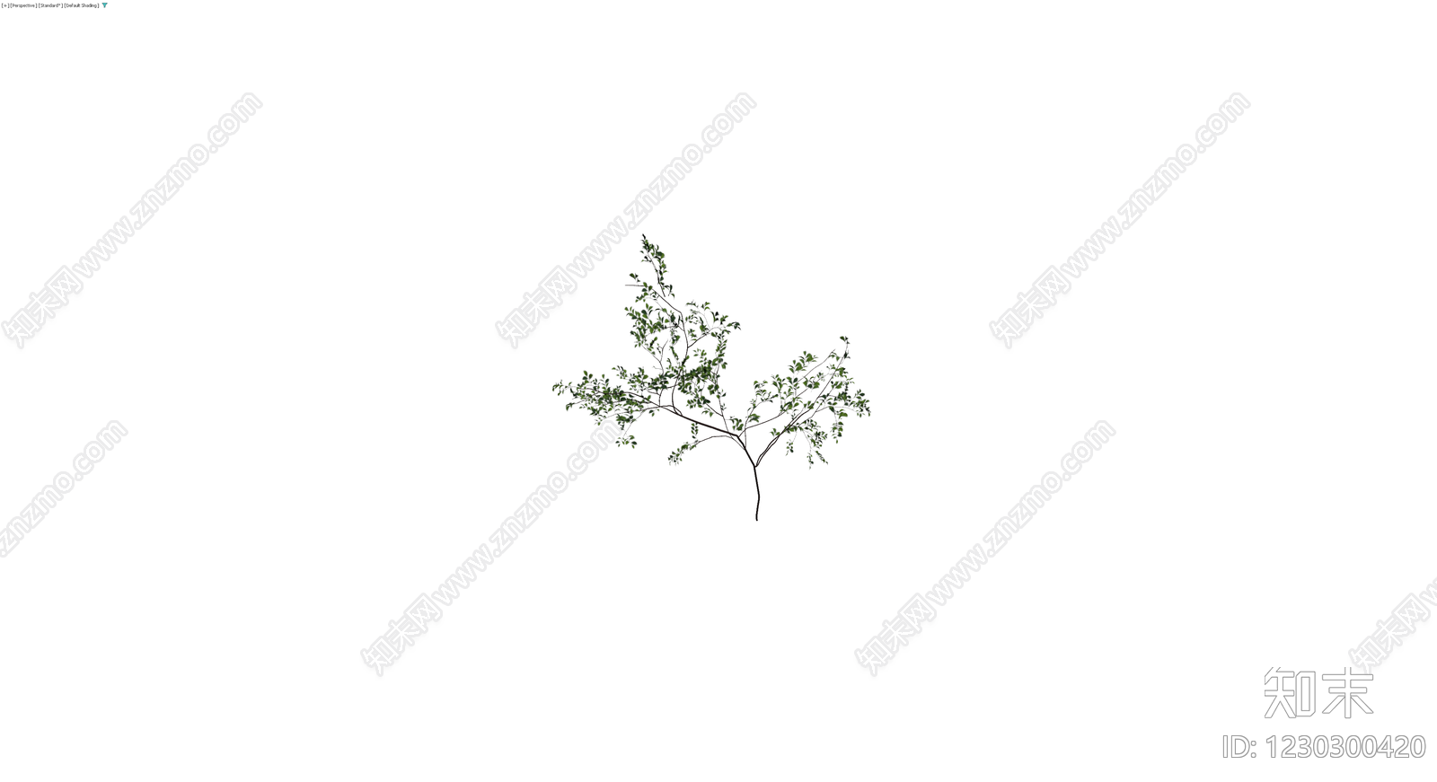 独立绿色灌木植物3D模型下载【ID:1230300420】