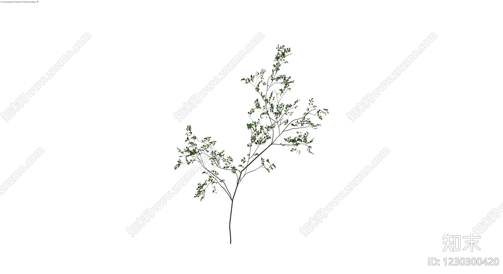 独立绿色灌木植物3D模型下载【ID:1230300420】