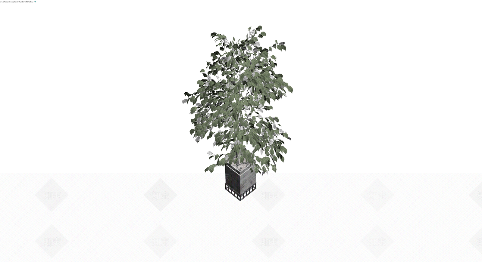 带盆绿植景观模型3D模型下载【ID:1230461404】