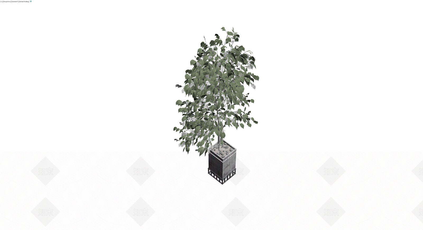 带盆绿植景观模型3D模型下载【ID:1230461404】