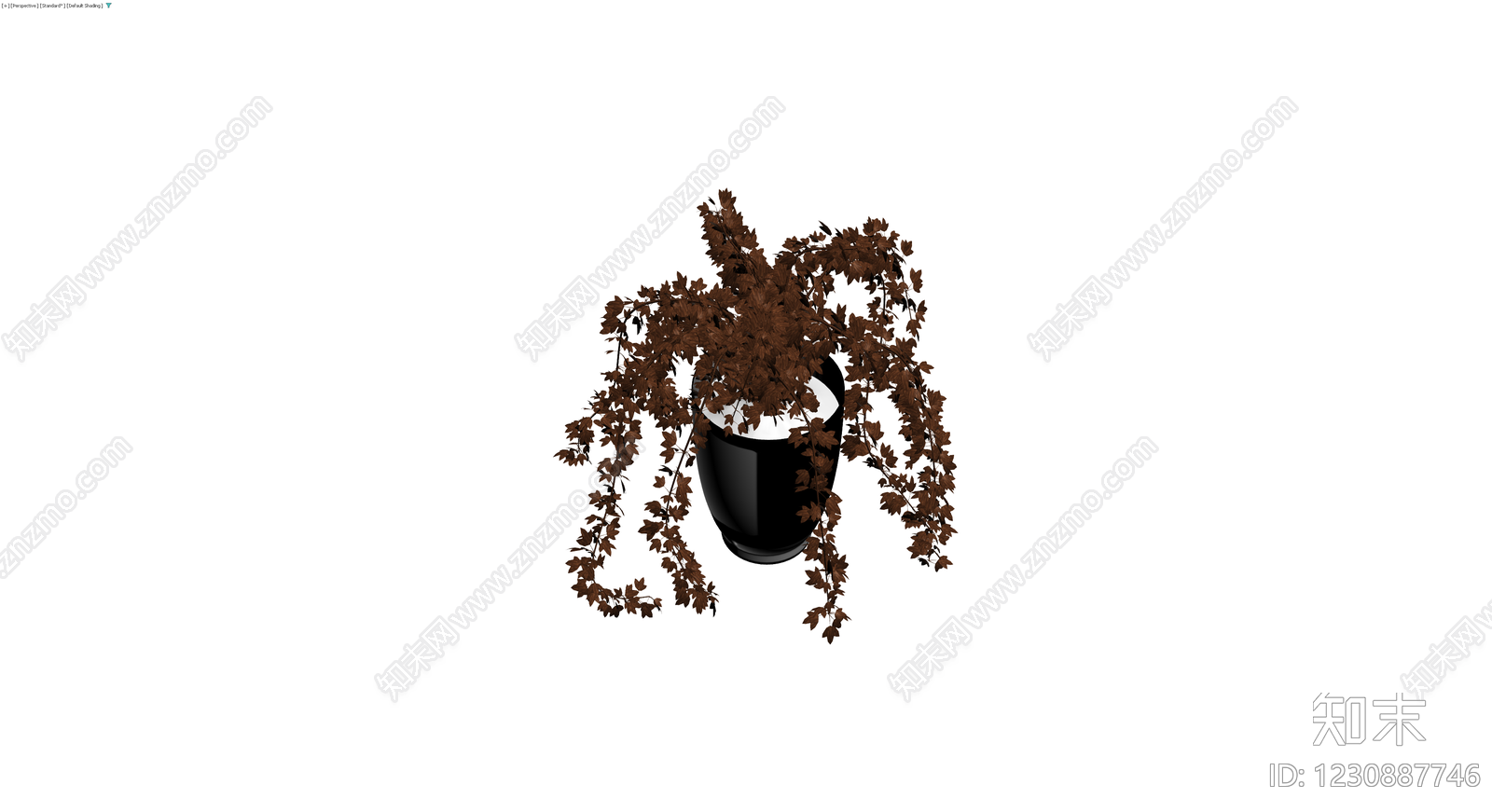 黑盆褐色垂吊植物3D模型下载【ID:1230887746】
