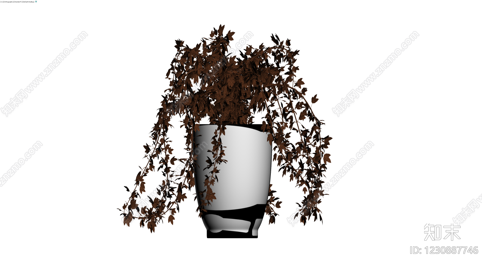 黑盆褐色垂吊植物3D模型下载【ID:1230887746】