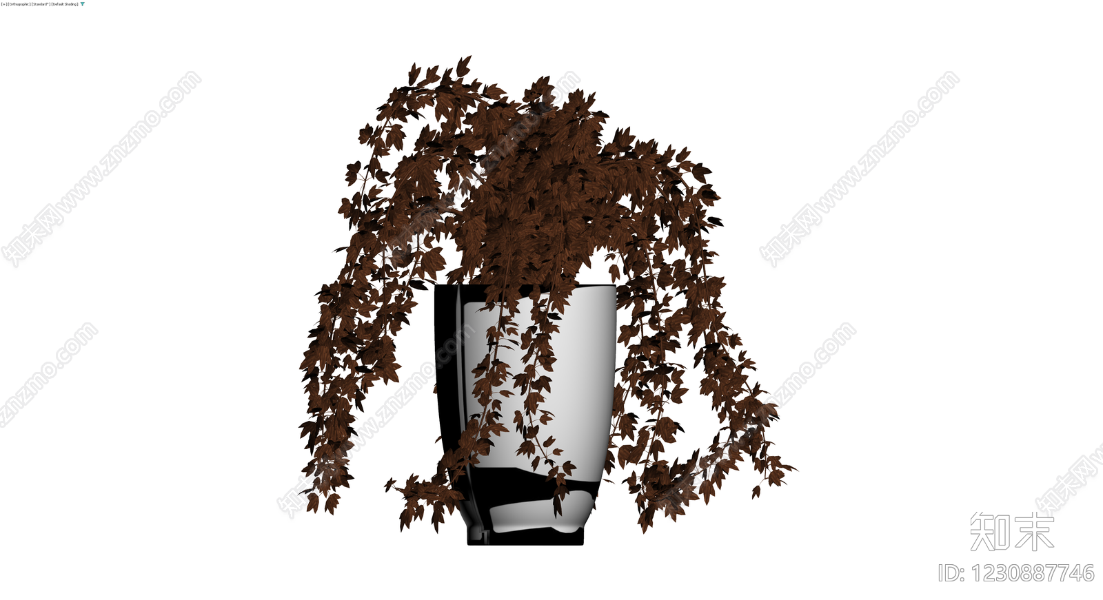 黑盆褐色垂吊植物3D模型下载【ID:1230887746】