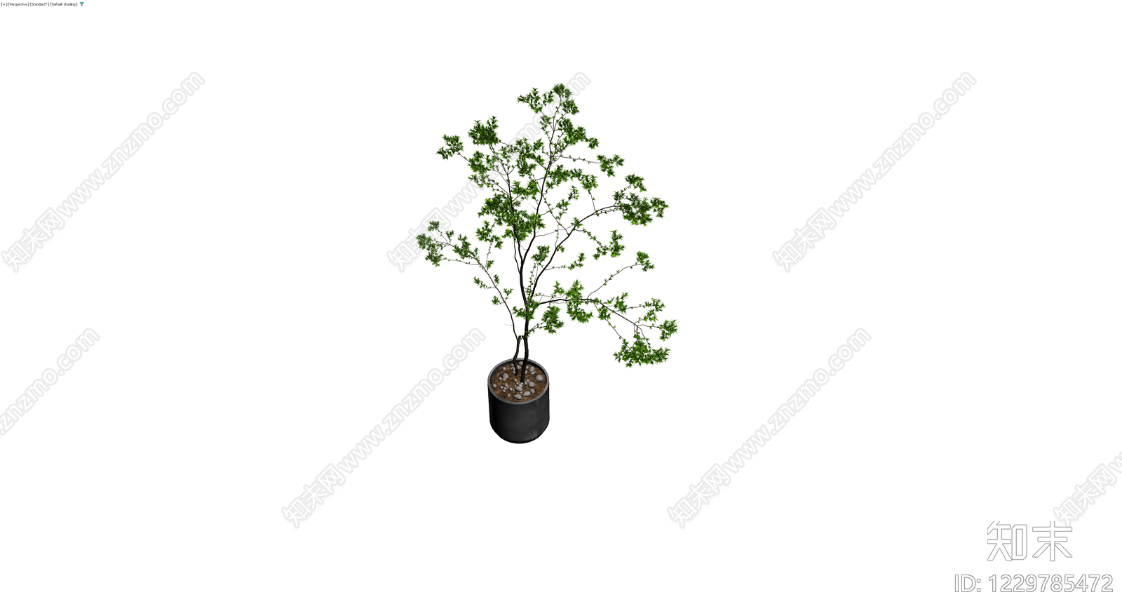 盆栽绿植带盆3D模型下载【ID:1229785472】