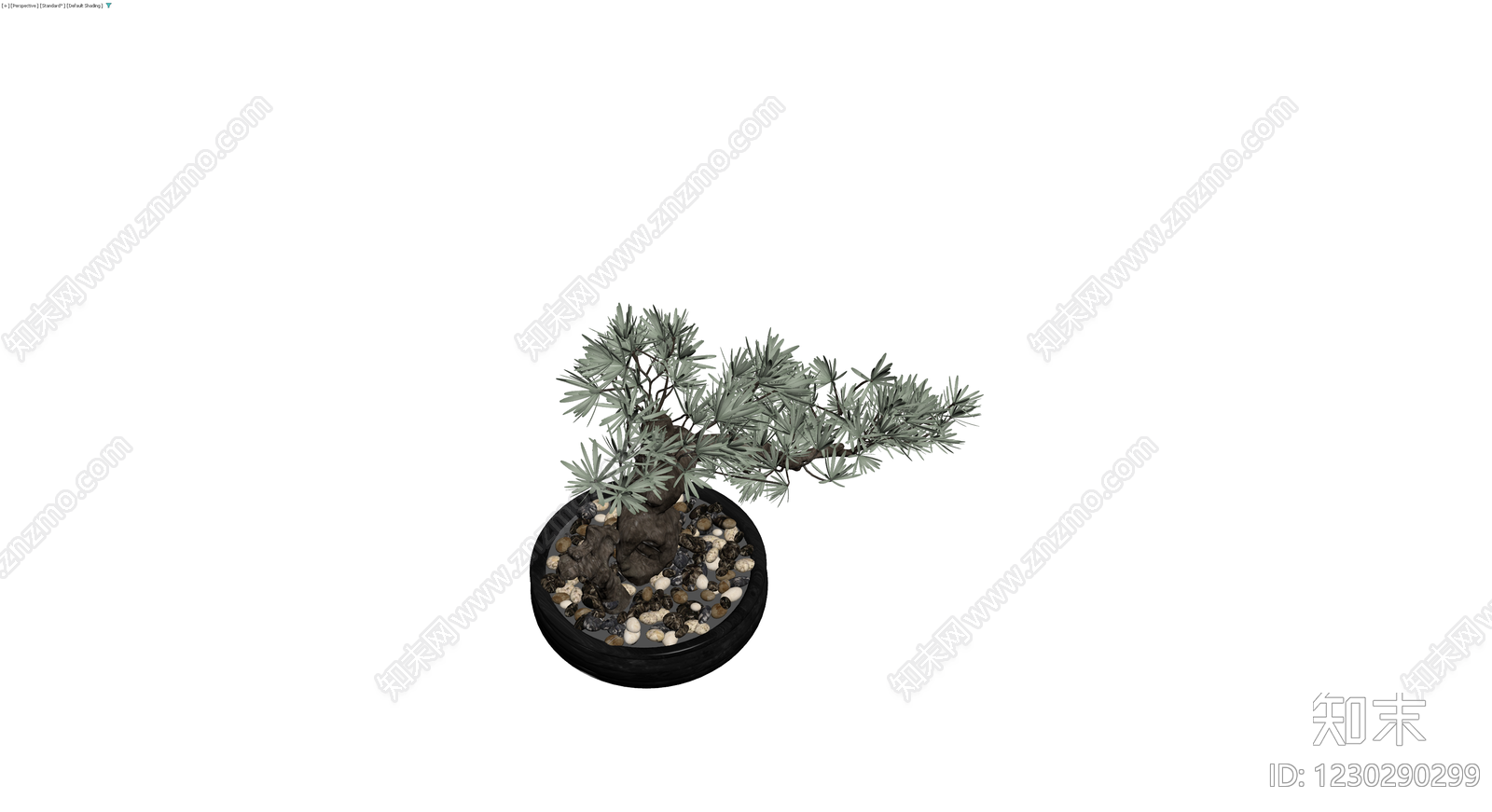 黑盆松树盆景模型3D模型下载【ID:1230290299】