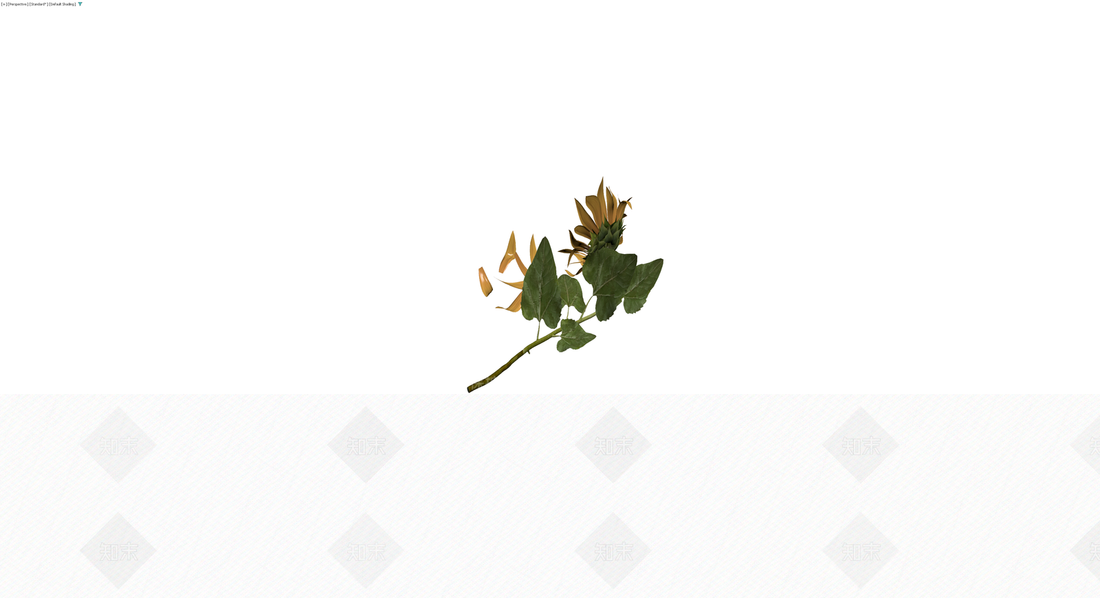 枯萎向日葵植物模型3D模型下载【ID:1230393760】