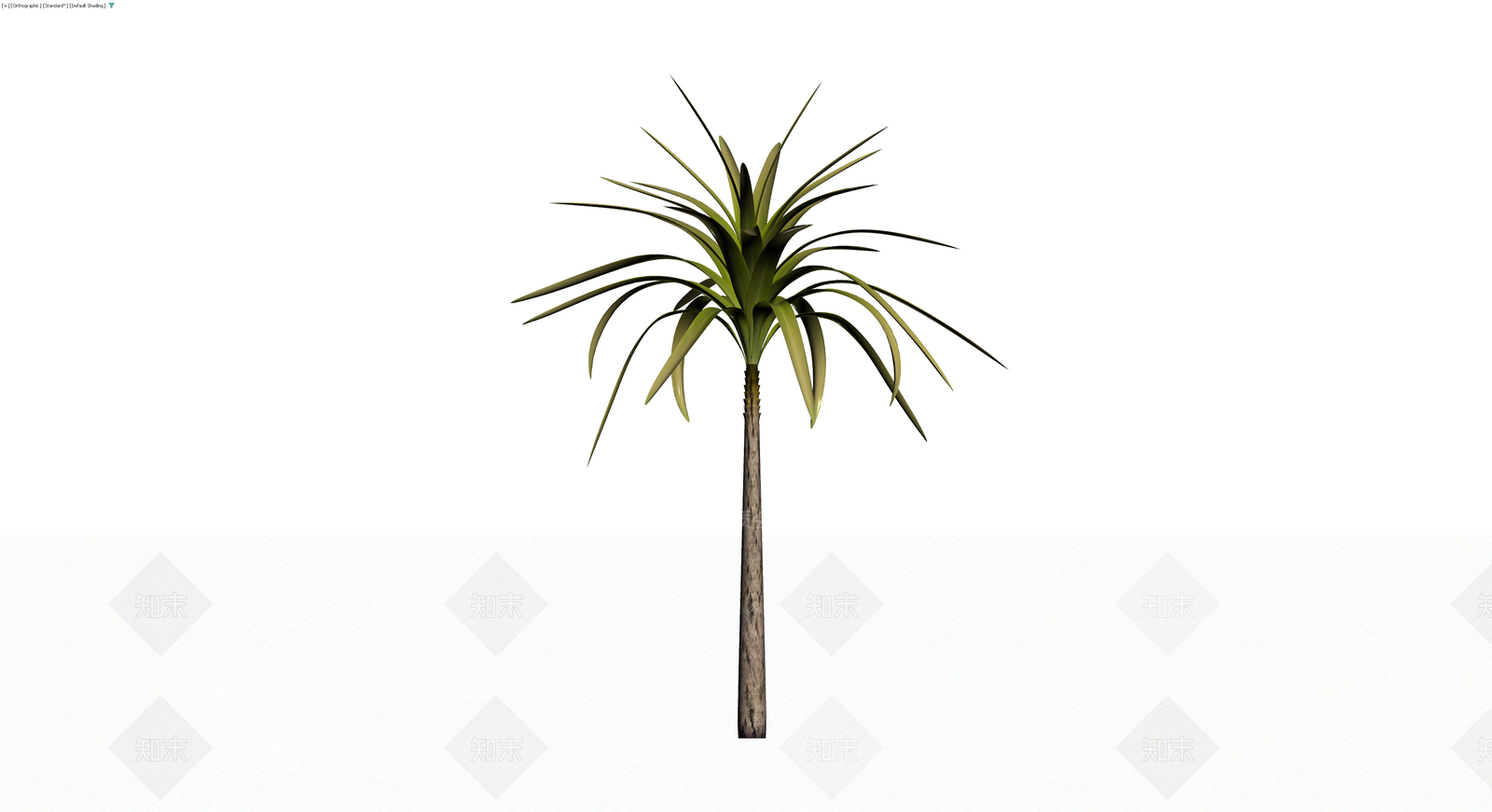 单株棕榈树植物模型3D模型下载【ID:1230095898】