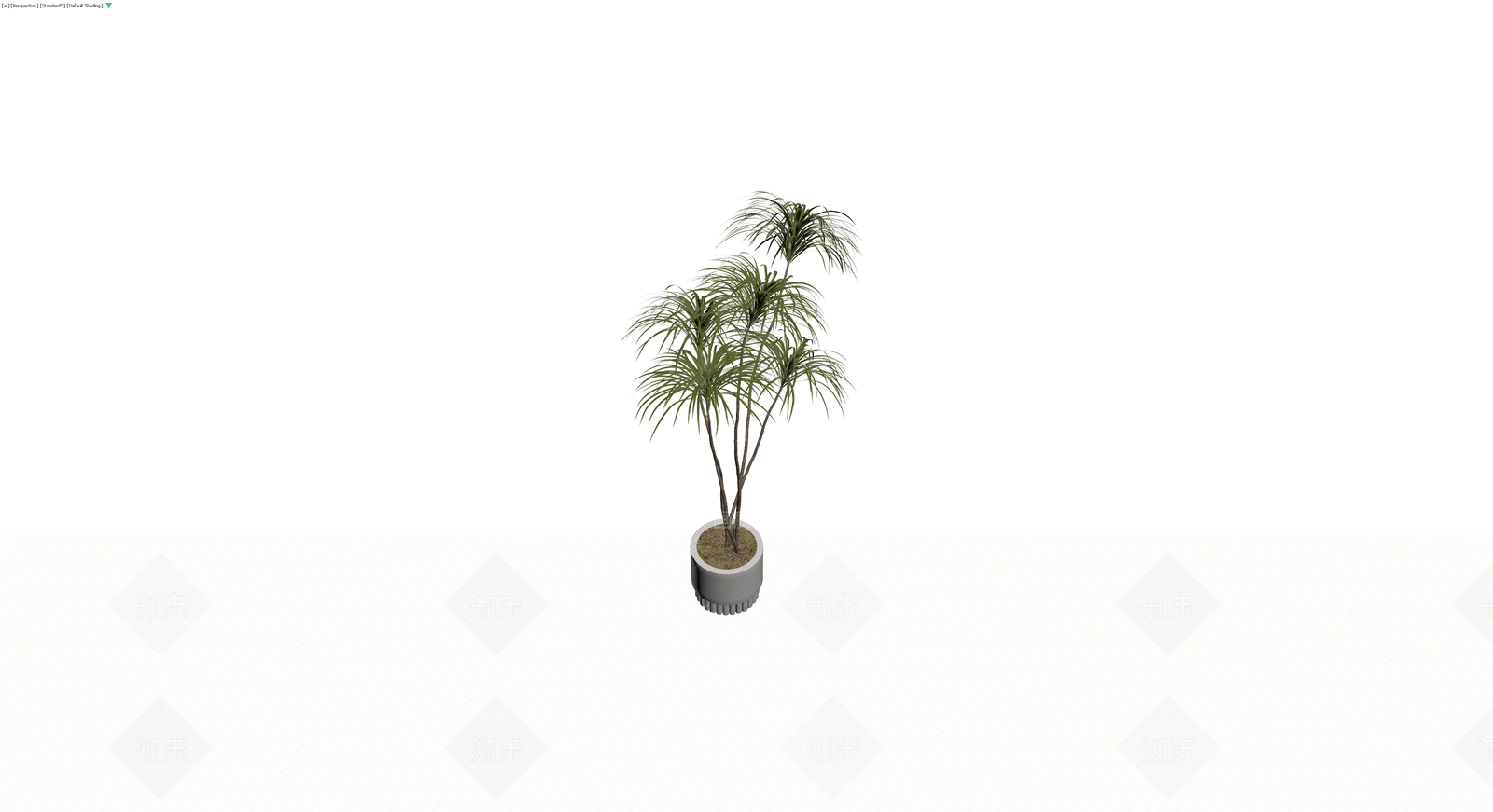 盆栽龙血树植物模型3D模型下载【ID:1230728500】