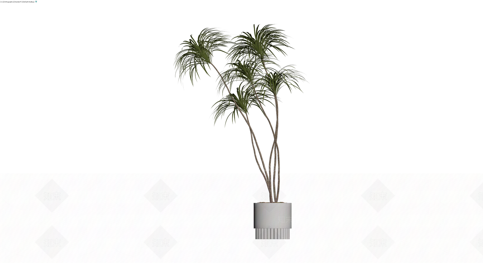 盆栽龙血树植物模型3D模型下载【ID:1230728500】