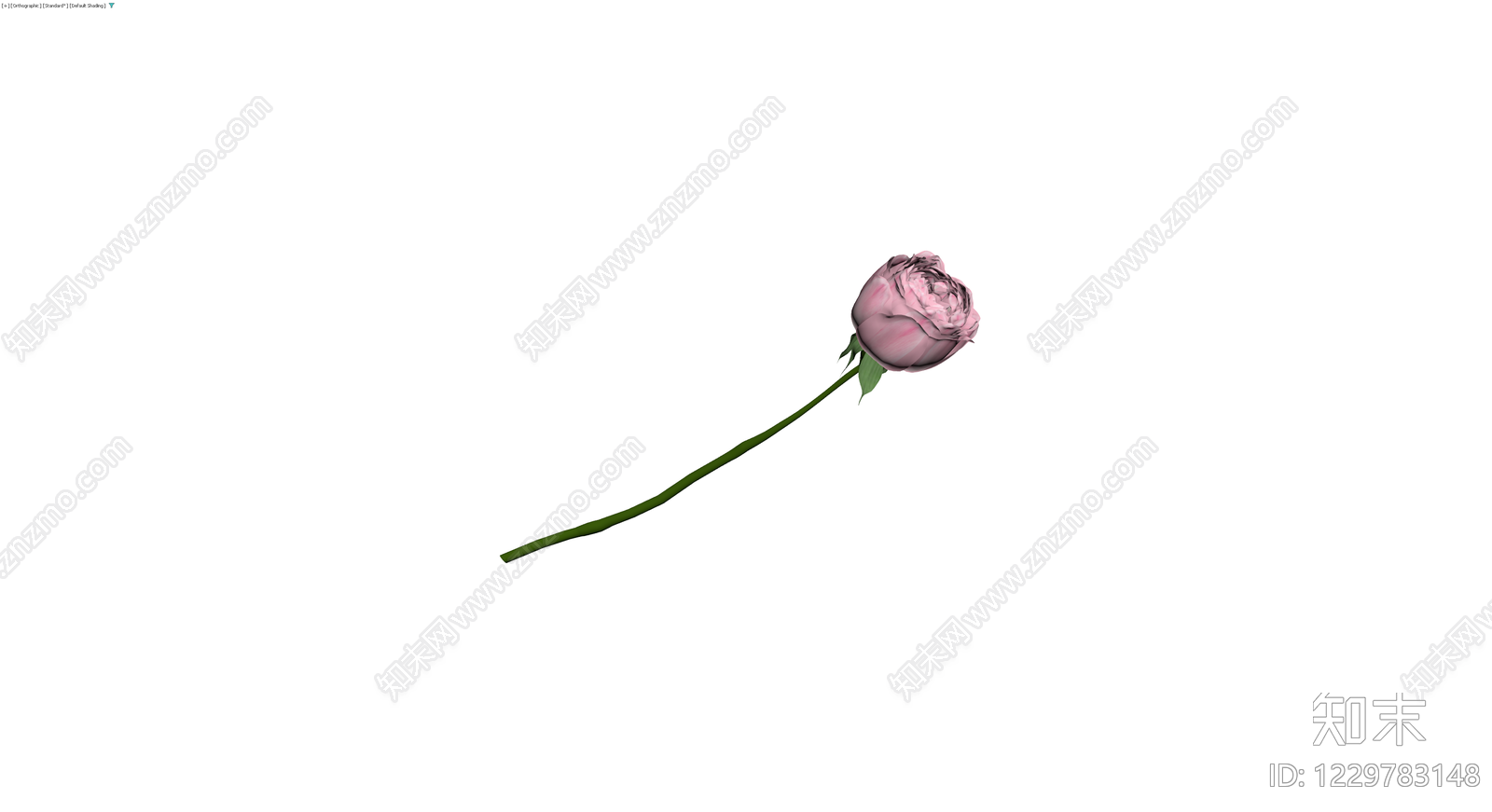 粉色玫瑰花茎模型3D模型下载【ID:1229783148】