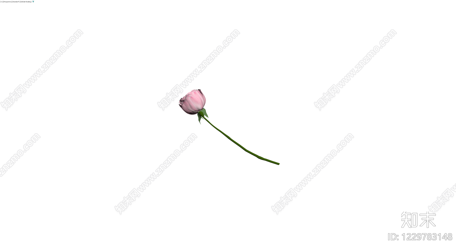 粉色玫瑰花茎模型3D模型下载【ID:1229783148】