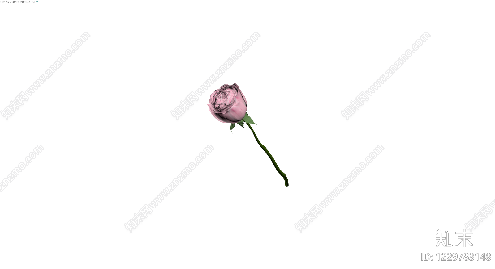 粉色玫瑰花茎模型3D模型下载【ID:1229783148】