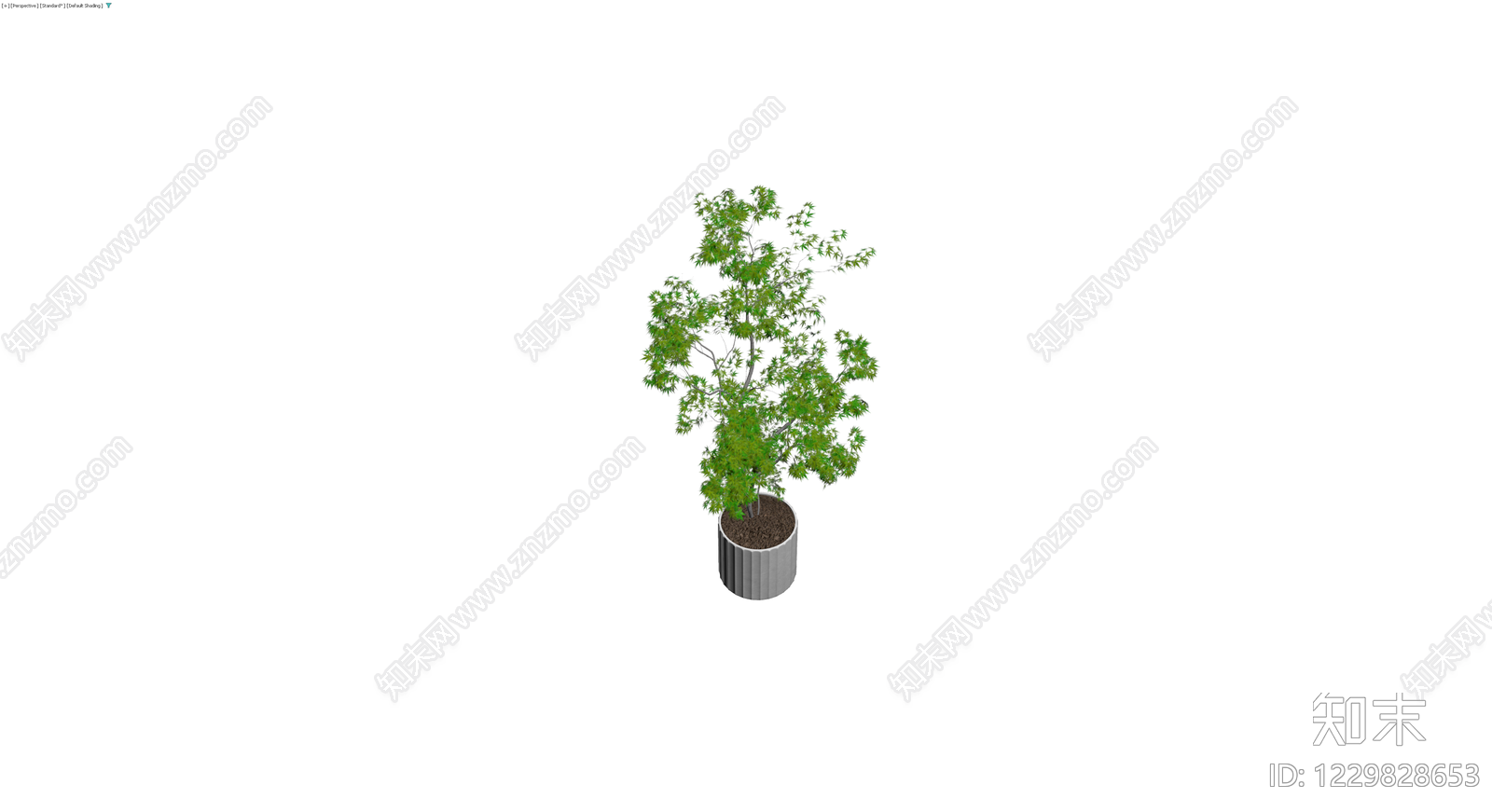 盆栽绿植景观模型3D模型下载【ID:1229828653】