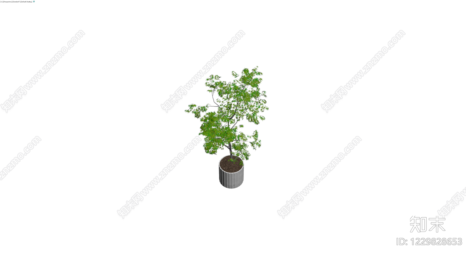 盆栽绿植景观模型3D模型下载【ID:1229828653】