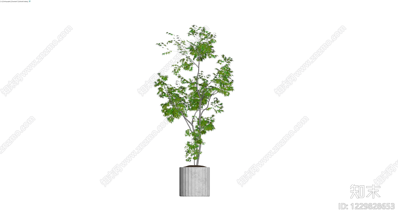 盆栽绿植景观模型3D模型下载【ID:1229828653】