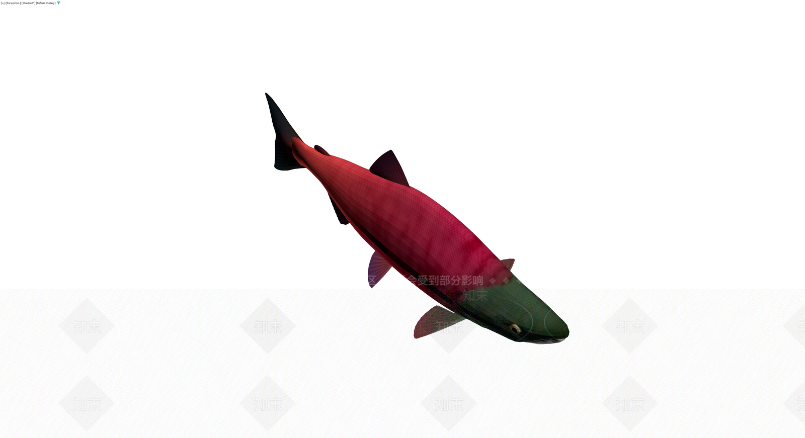红身绿头鲑鱼模型3D模型下载【ID:1229683792】