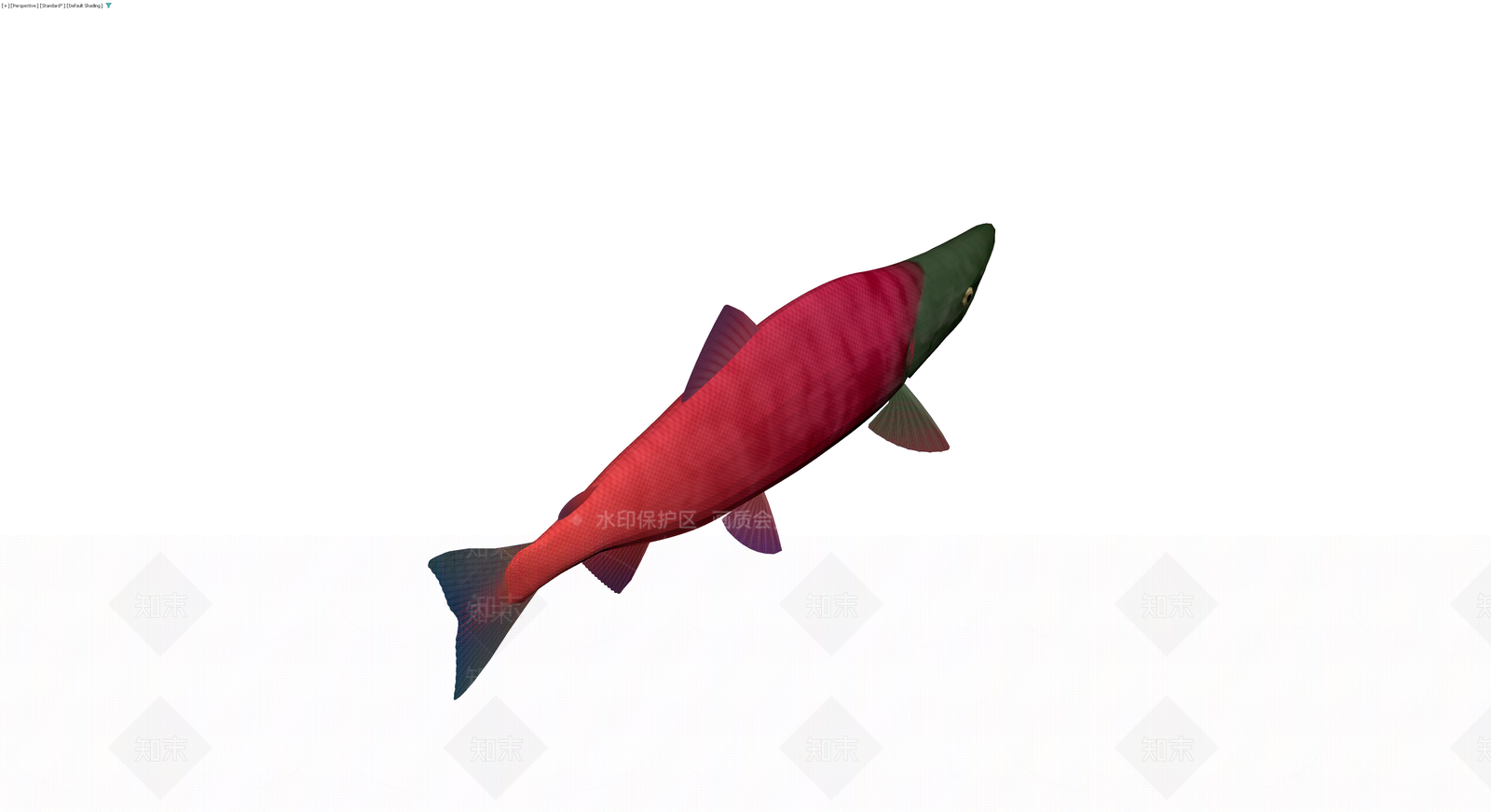 红身绿头鲑鱼模型3D模型下载【ID:1229683792】