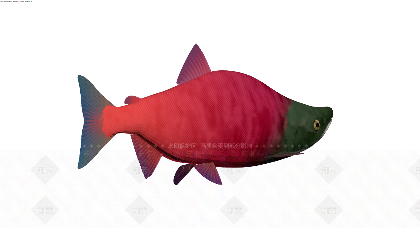 红身绿头鲑鱼模型3D模型下载【ID:1229683792】