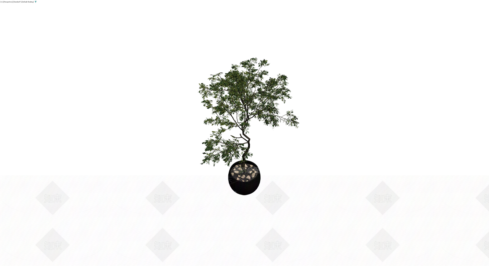 黑色盆栽绿植模型3D模型下载【ID:1230661259】