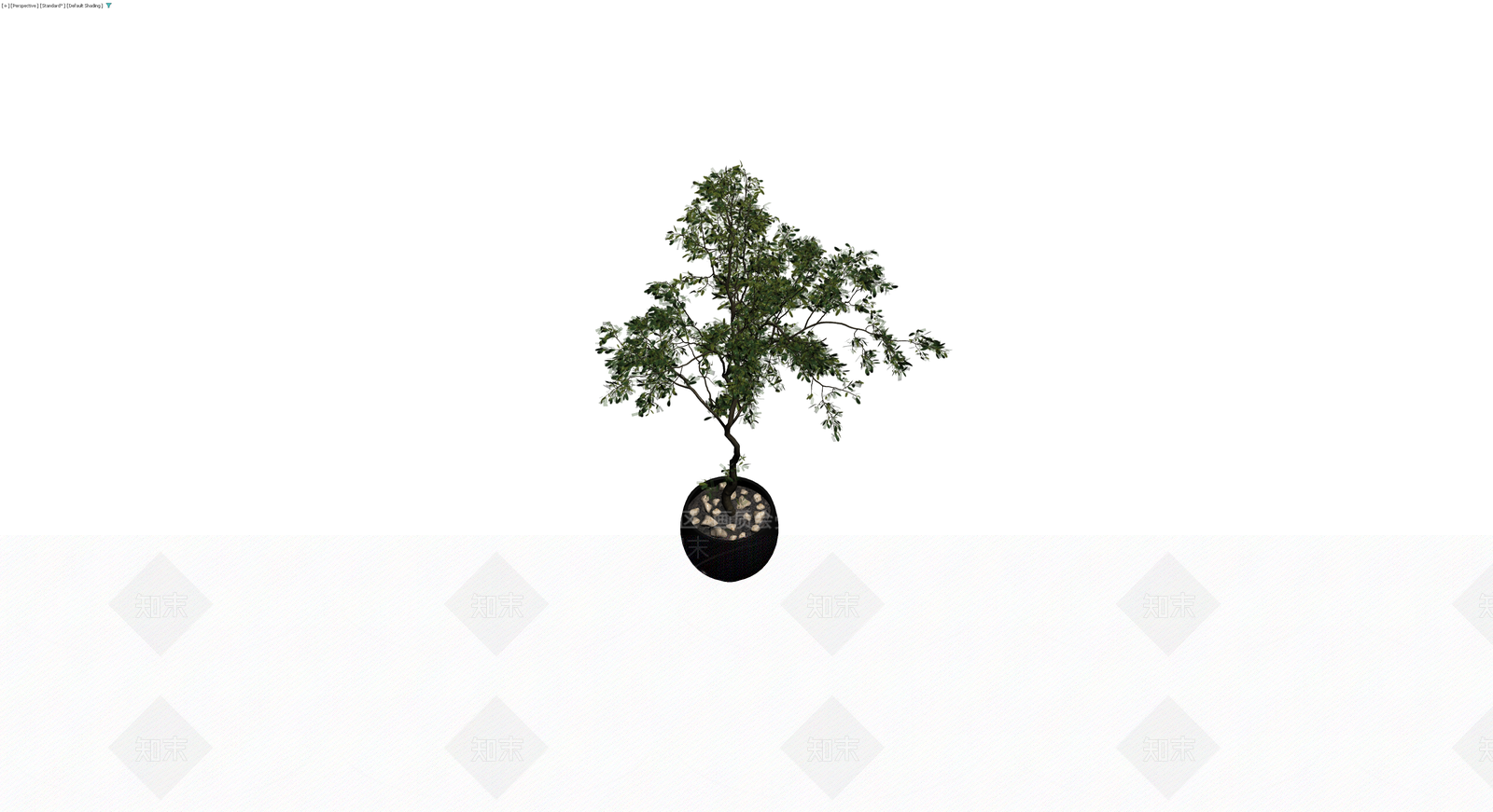 黑色盆栽绿植模型3D模型下载【ID:1230661259】