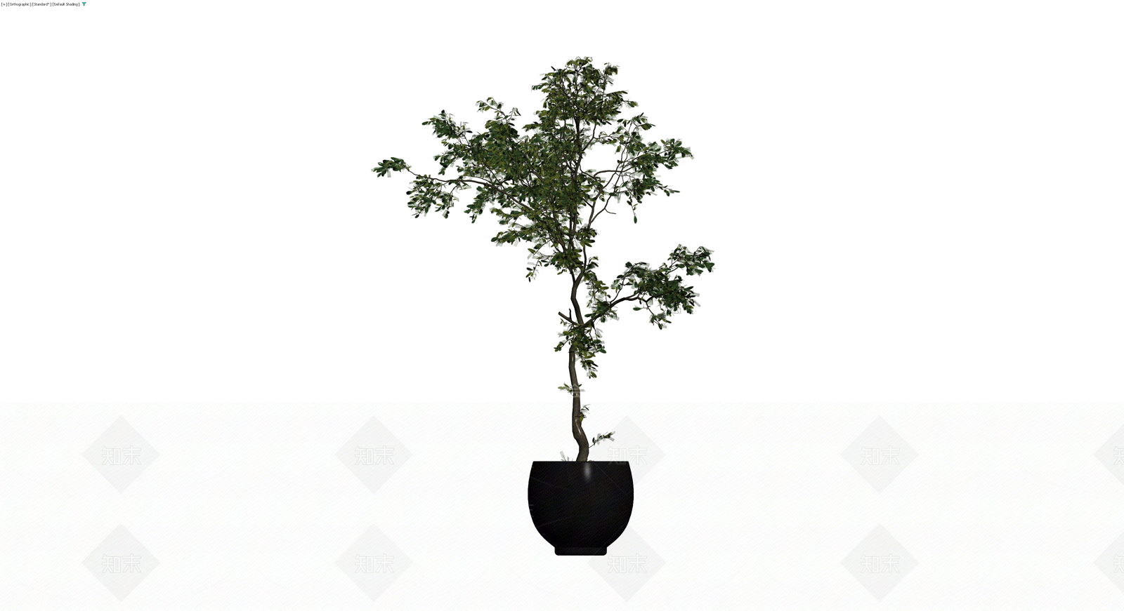 黑色盆栽绿植模型3D模型下载【ID:1230661259】