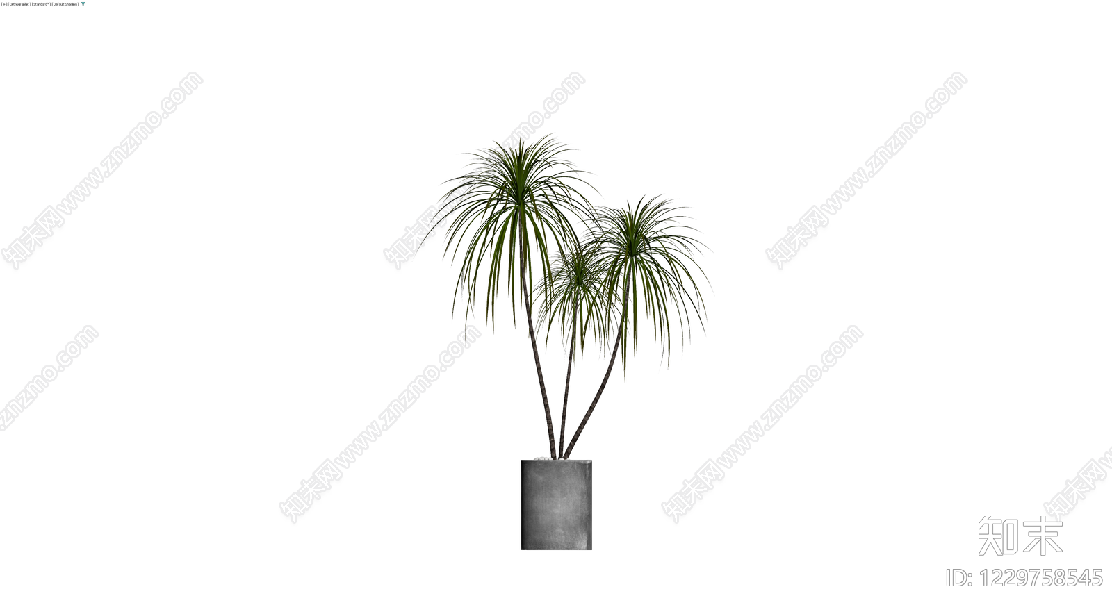 盆栽植物带盆3D模型下载【ID:1229758545】